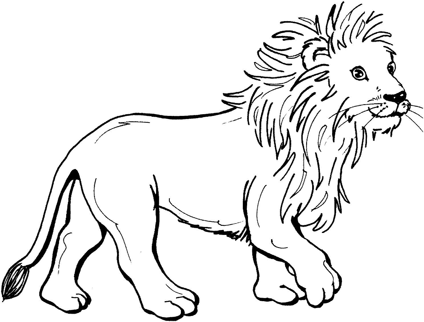 着色页: 狮子 (动物) #10240 - 免费可打印着色页