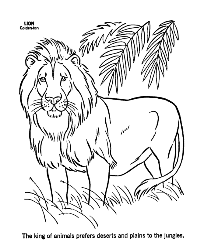 着色页: 狮子 (动物) #10252 - 免费可打印着色页
