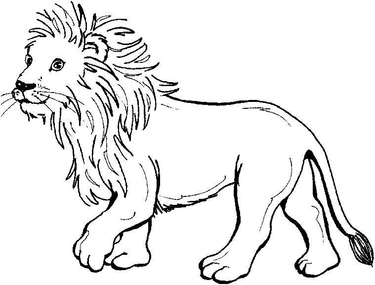 着色页: 狮子 (动物) #10267 - 免费可打印着色页