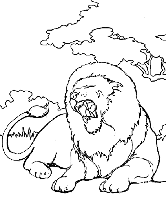 着色页: 狮子 (动物) #10360 - 免费可打印着色页