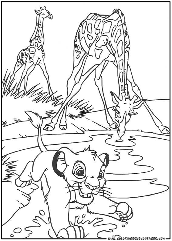 着色页: 狮子 (动物) #10369 - 免费可打印着色页
