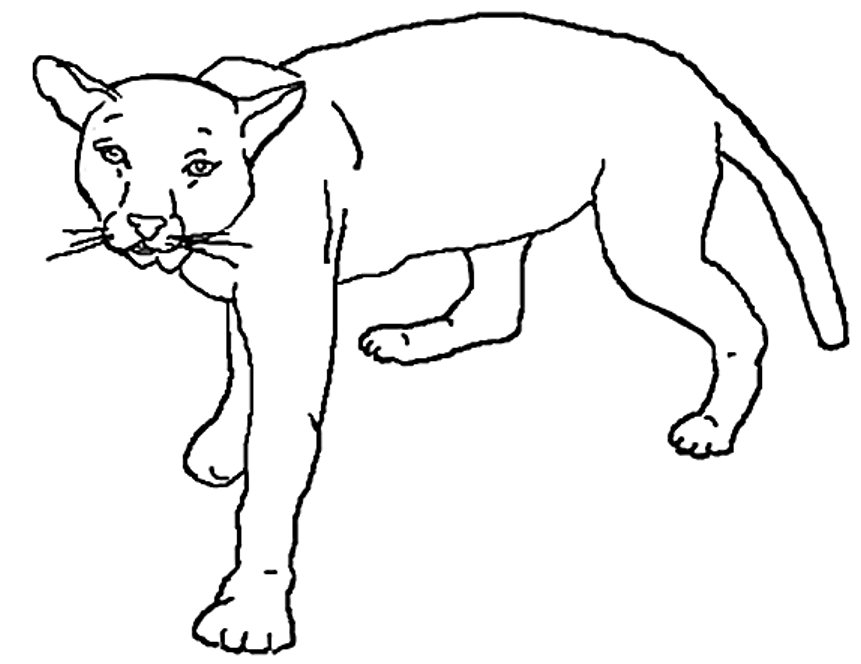 着色页: 狮子 (动物) #10388 - 免费可打印着色页