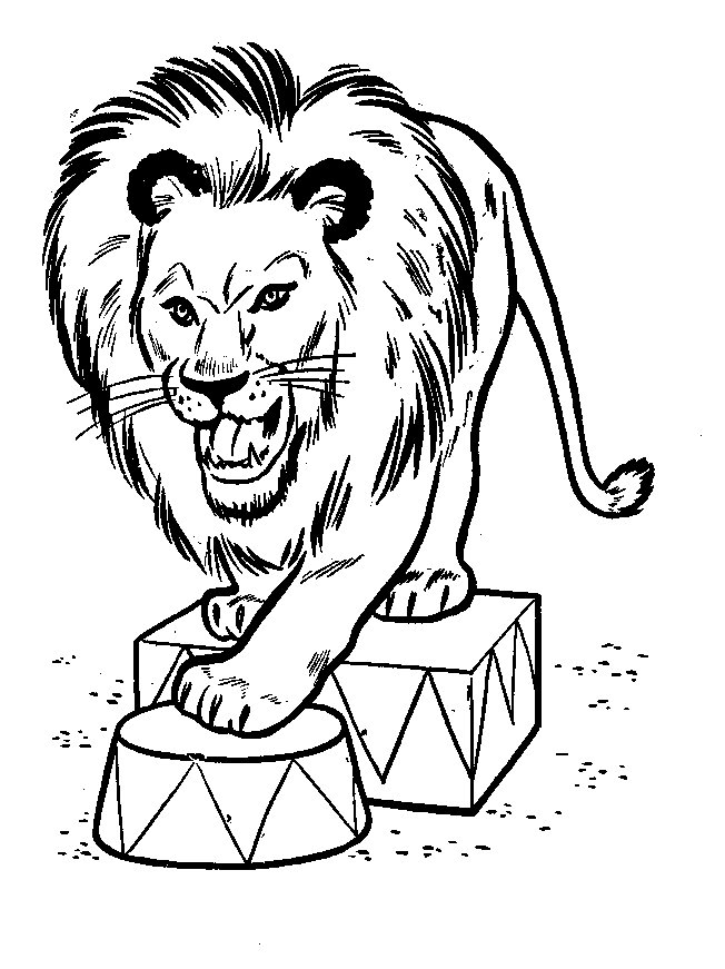 着色页: 狮子 (动物) #10406 - 免费可打印着色页