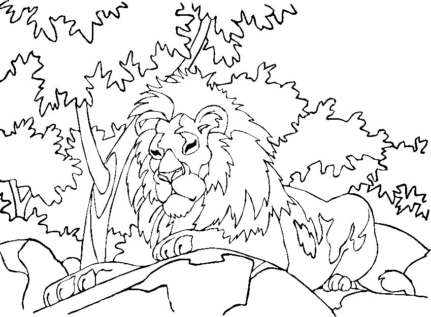 着色页: 狮子 (动物) #10418 - 免费可打印着色页