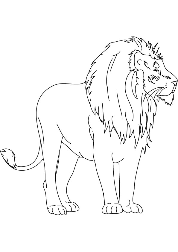 着色页: 狮子 (动物) #10437 - 免费可打印着色页