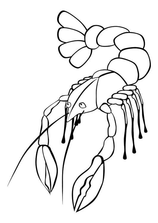着色页: 龙虾 (动物) #22495 - 免费可打印着色页