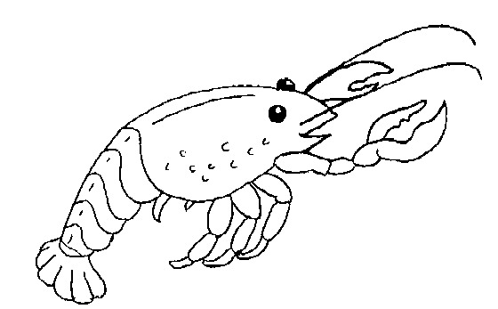 着色页: 龙虾 (动物) #22517 - 免费可打印着色页
