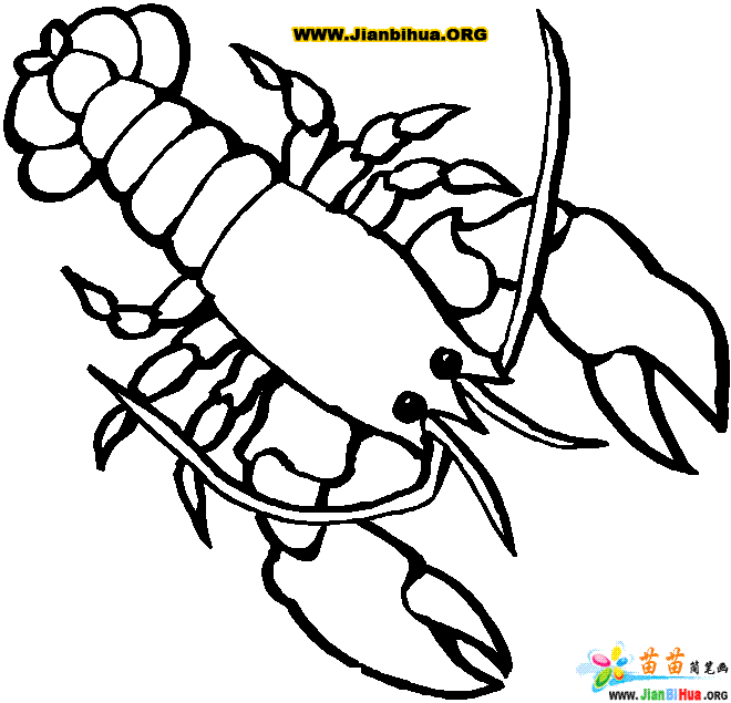 着色页: 龙虾 (动物) #22524 - 免费可打印着色页