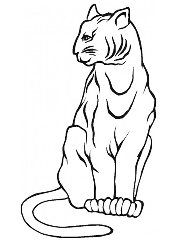 着色页: 山猫 (动物) #10793 - 免费可打印着色页