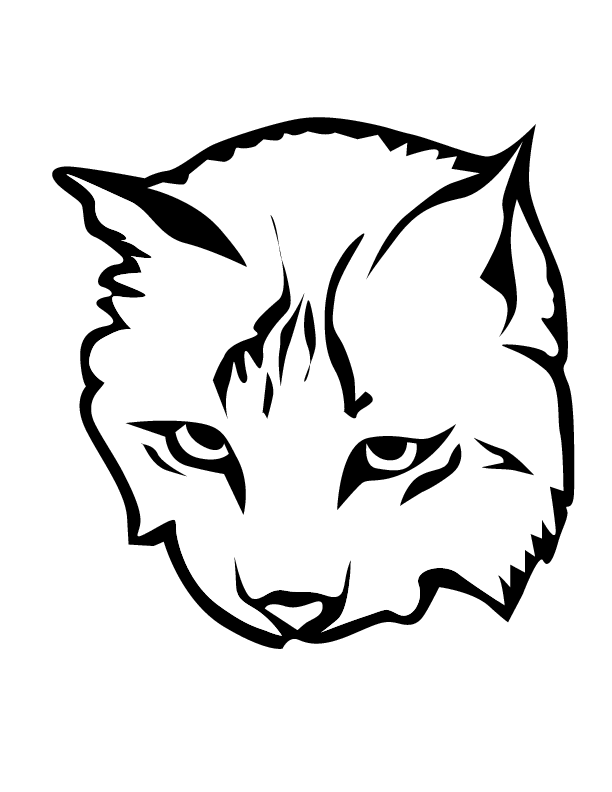 着色页: 山猫 (动物) #10806 - 免费可打印着色页