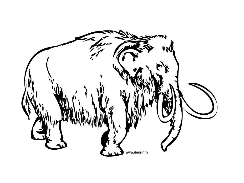 着色页: 长毛象 (动物) #19175 - 免费可打印着色页