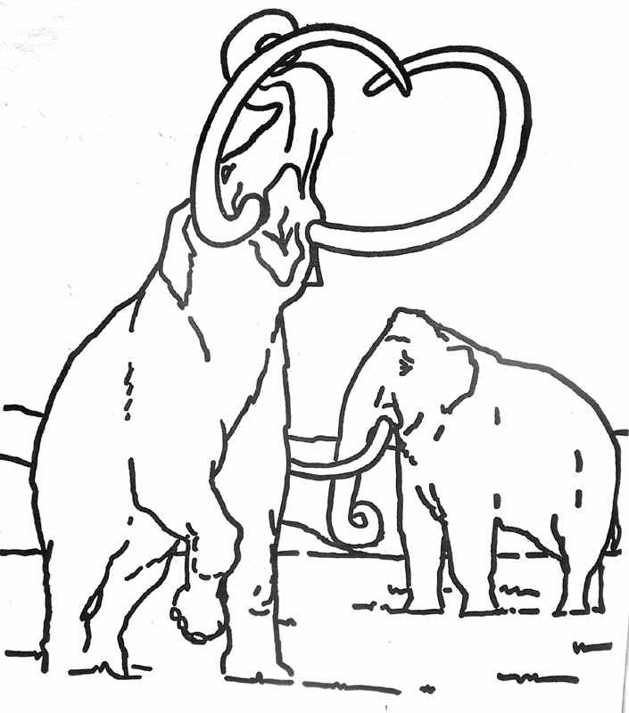 着色页: 长毛象 (动物) #19198 - 免费可打印着色页