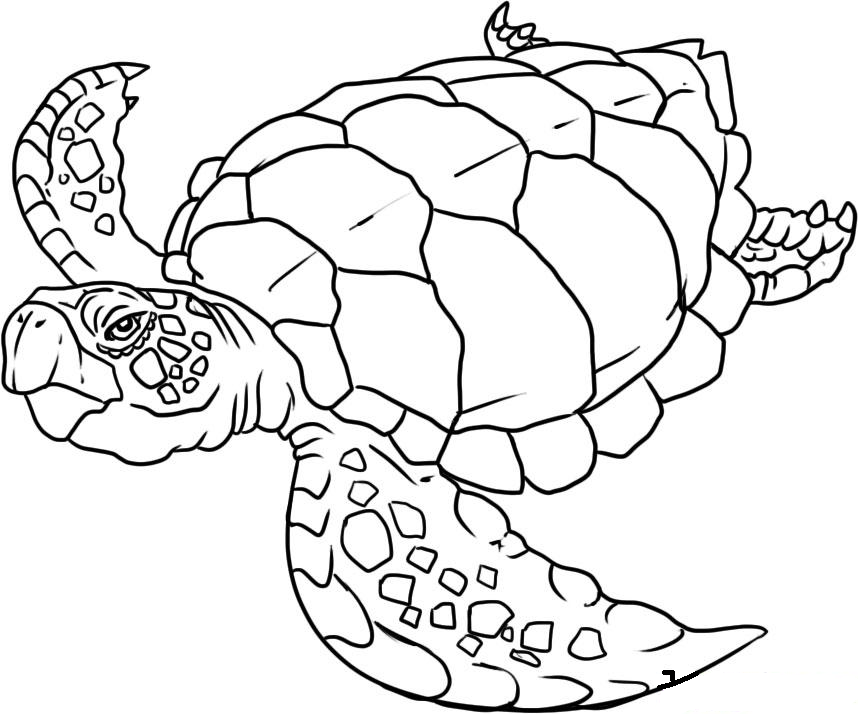 着色页: 海洋生物 (动物) #22001 - 免费可打印着色页