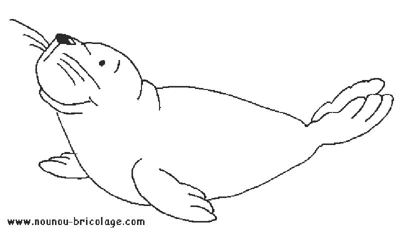 着色页: 海洋生物 (动物) #22035 - 免费可打印着色页