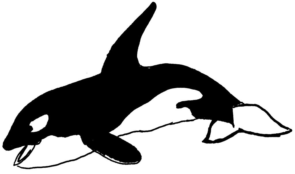 着色页: 海洋生物 (动物) #22084 - 免费可打印着色页