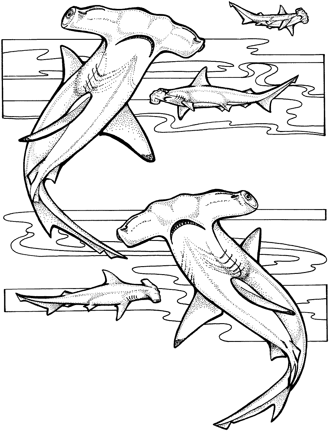 着色页: 海洋生物 (动物) #22089 - 免费可打印着色页