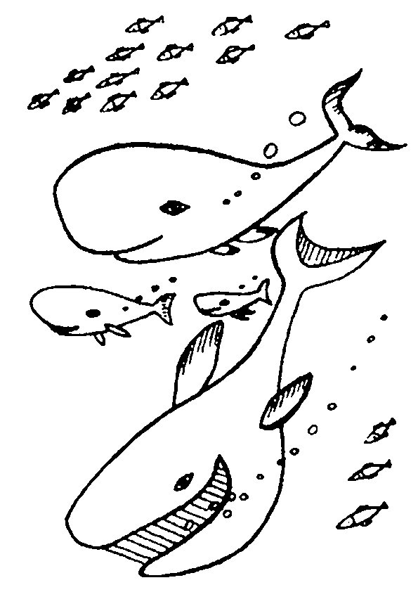 着色页: 海洋生物 (动物) #22118 - 免费可打印着色页