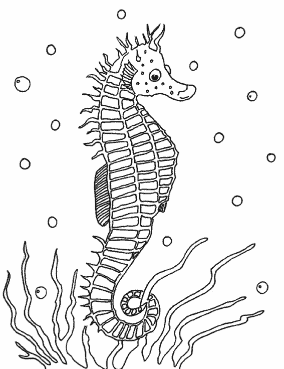 着色页: 海洋生物 (动物) #22122 - 免费可打印着色页