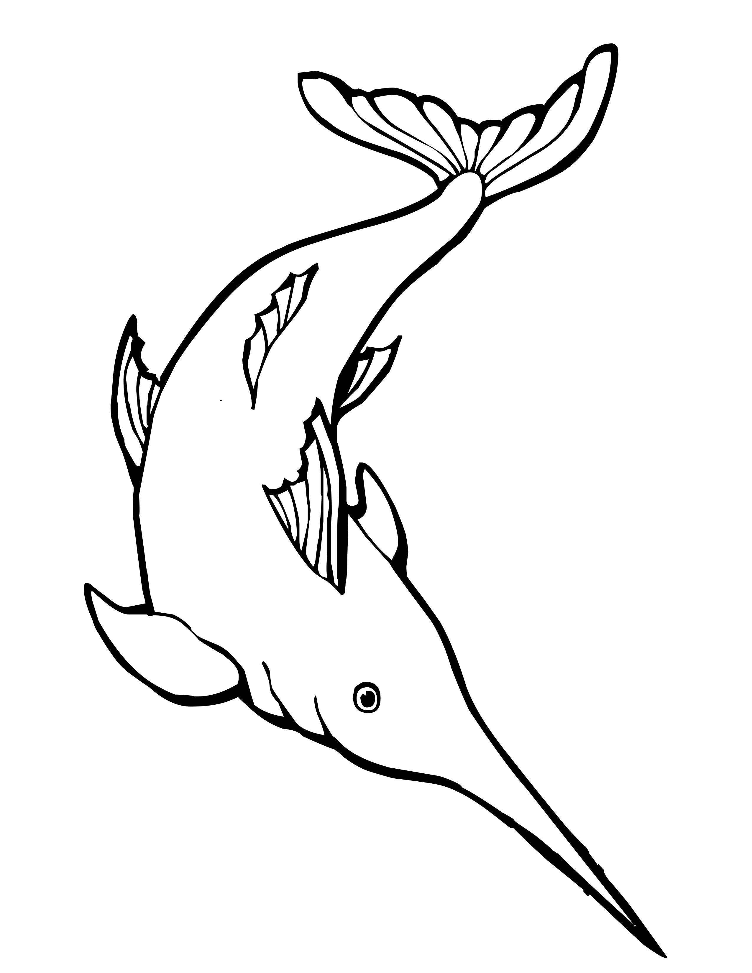 着色页: 海洋生物 (动物) #22124 - 免费可打印着色页