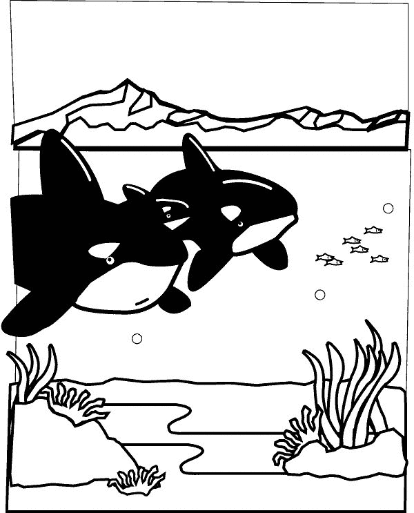 着色页: 海洋生物 (动物) #22133 - 免费可打印着色页