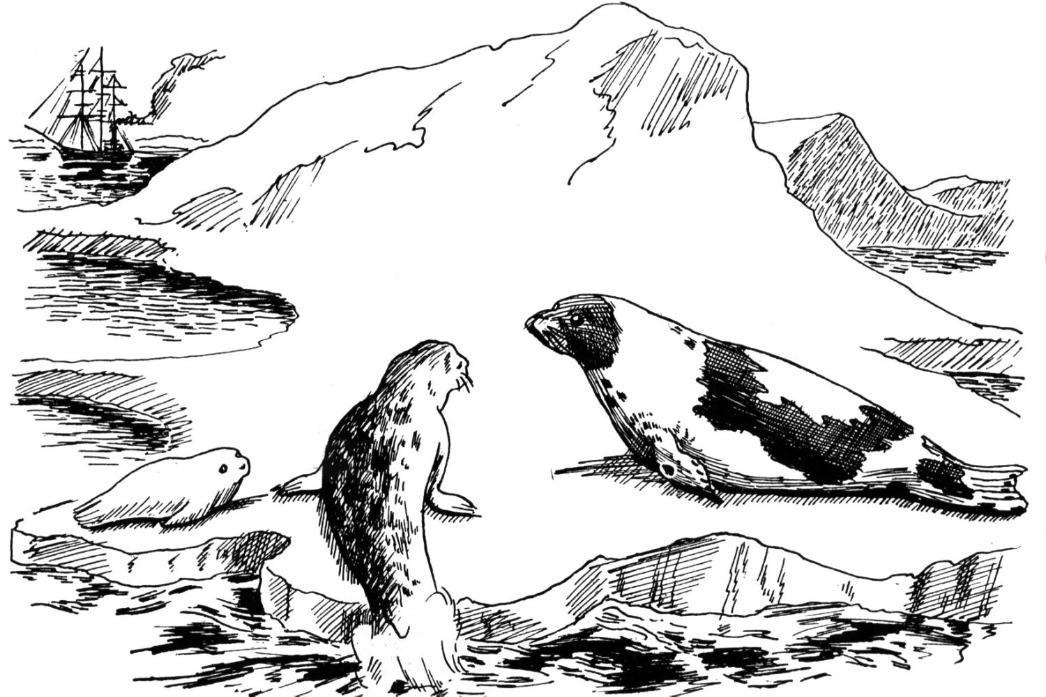 着色页: 海洋生物 (动物) #22142 - 免费可打印着色页