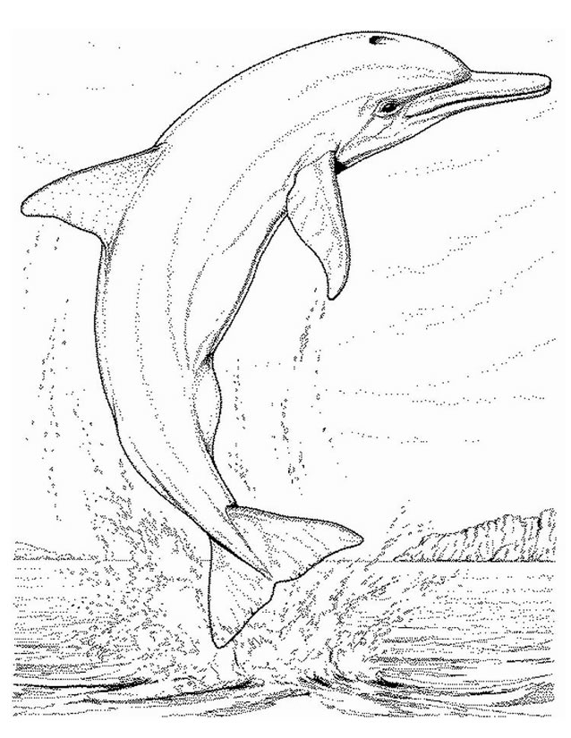 着色页: 海洋生物 (动物) #22143 - 免费可打印着色页