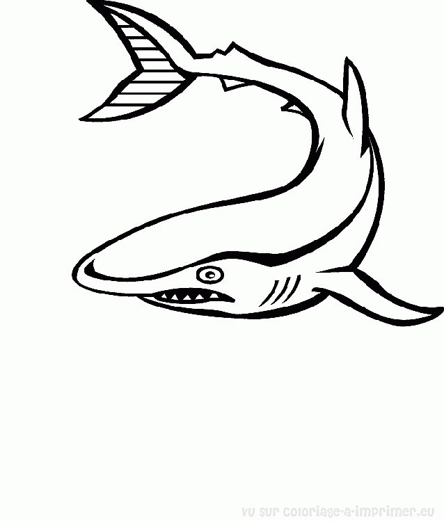 着色页: 海洋生物 (动物) #22144 - 免费可打印着色页