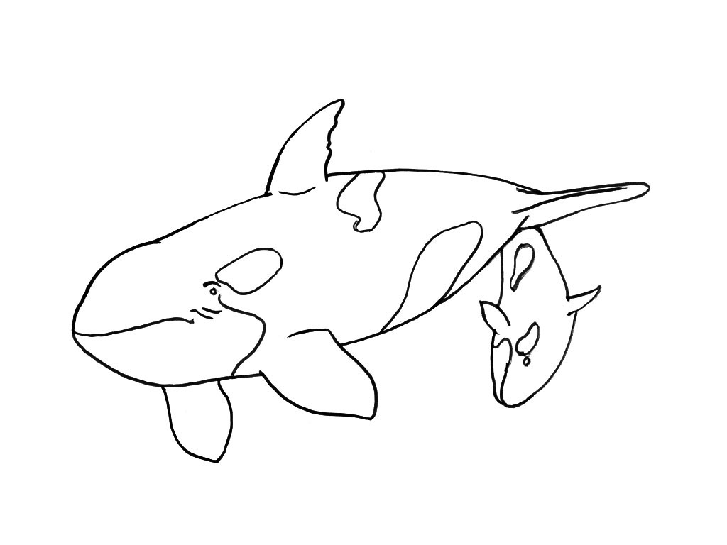 着色页: 海洋生物 (动物) #22181 - 免费可打印着色页