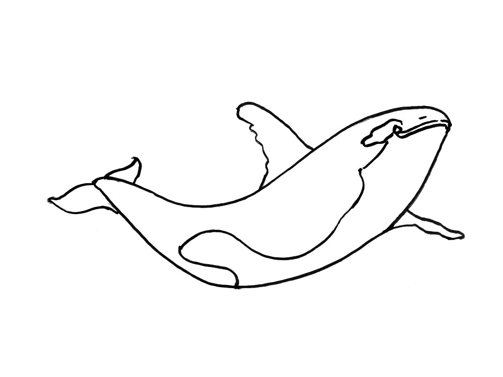 着色页: 海洋生物 (动物) #22188 - 免费可打印着色页