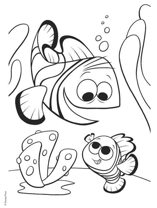 着色页: 海洋生物 (动物) #22201 - 免费可打印着色页