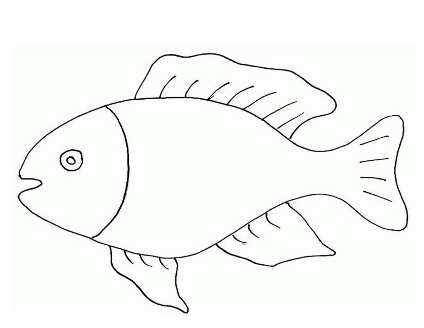 着色页: 海洋生物 (动物) #22216 - 免费可打印着色页