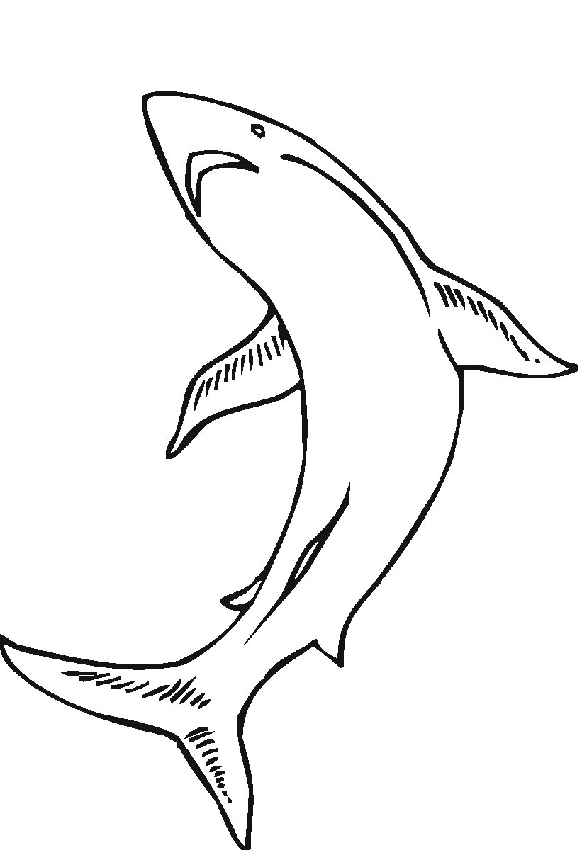 着色页: 海洋生物 (动物) #22255 - 免费可打印着色页
