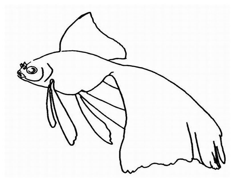 着色页: 海洋生物 (动物) #22264 - 免费可打印着色页