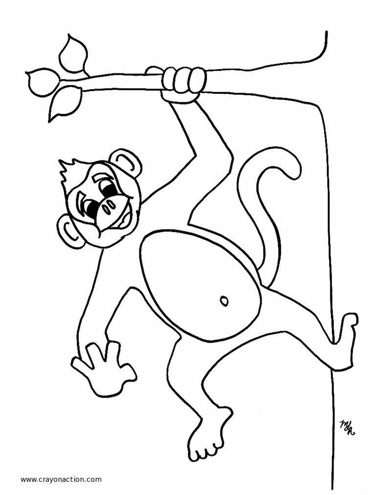 着色页: 猴 (动物) #14155 - 免费可打印着色页