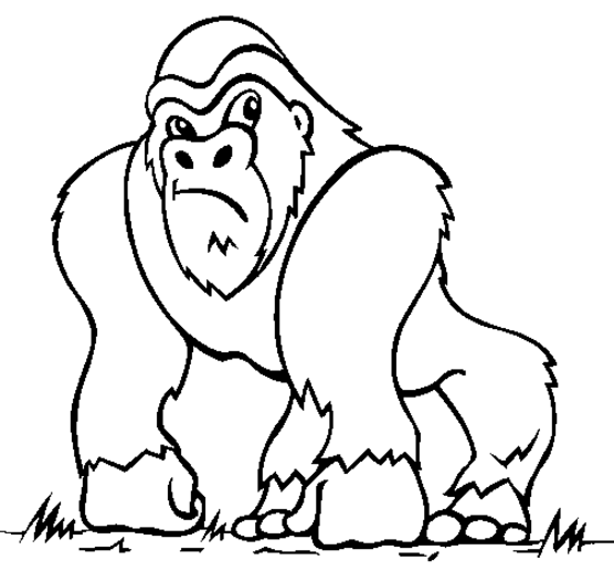 着色页: 猴 (动物) #14163 - 免费可打印着色页