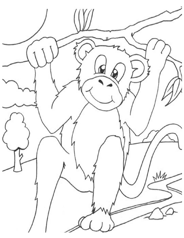 着色页: 猴 (动物) #14252 - 免费可打印着色页