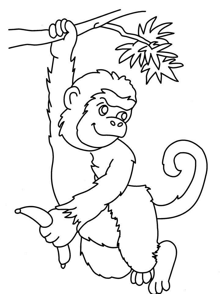 着色页: 猴 (动物) #14254 - 免费可打印着色页