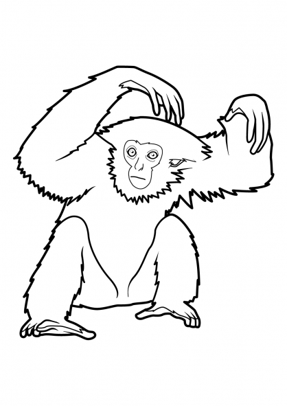 着色页: 猴 (动物) #14261 - 免费可打印着色页
