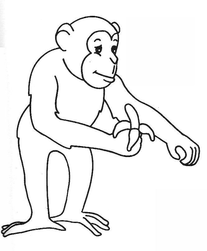 着色页: 猴 (动物) #14291 - 免费可打印着色页