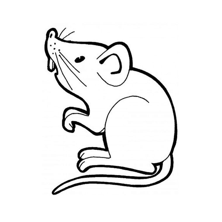 着色页: 老鼠 (动物) #13937 - 免费可打印着色页