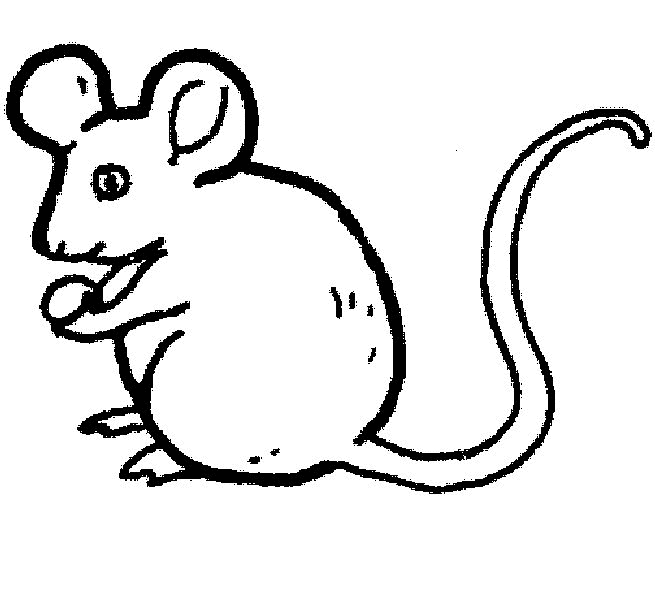 着色页: 老鼠 (动物) #13938 - 免费可打印着色页