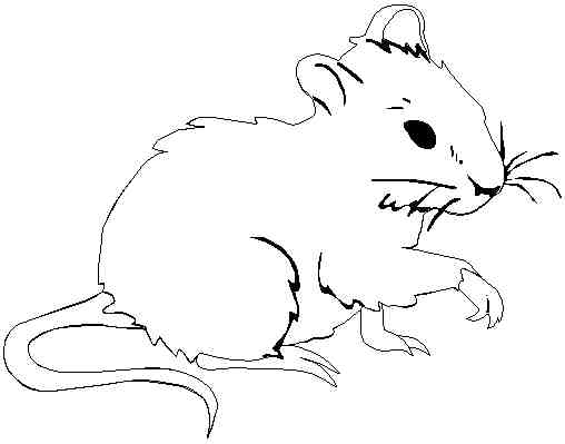 着色页: 老鼠 (动物) #13943 - 免费可打印着色页