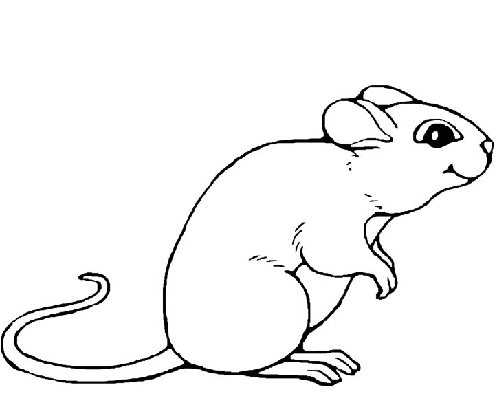 着色页: 老鼠 (动物) #13947 - 免费可打印着色页