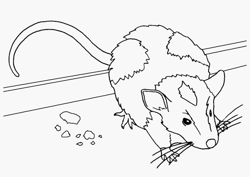 着色页: 老鼠 (动物) #13963 - 免费可打印着色页