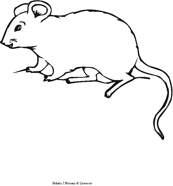 着色页: 老鼠 (动物) #14111 - 免费可打印着色页