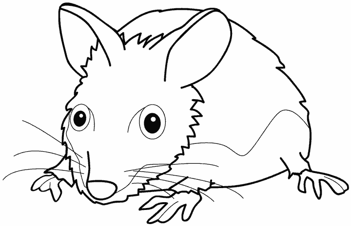 着色页: 老鼠 (动物) #14130 - 免费可打印着色页