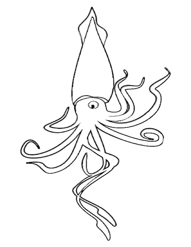 着色页: 章鱼 (动物) #18926 - 免费可打印着色页