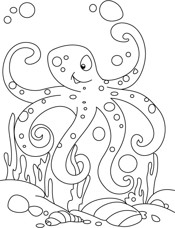 着色页: 章鱼 (动物) #18946 - 免费可打印着色页