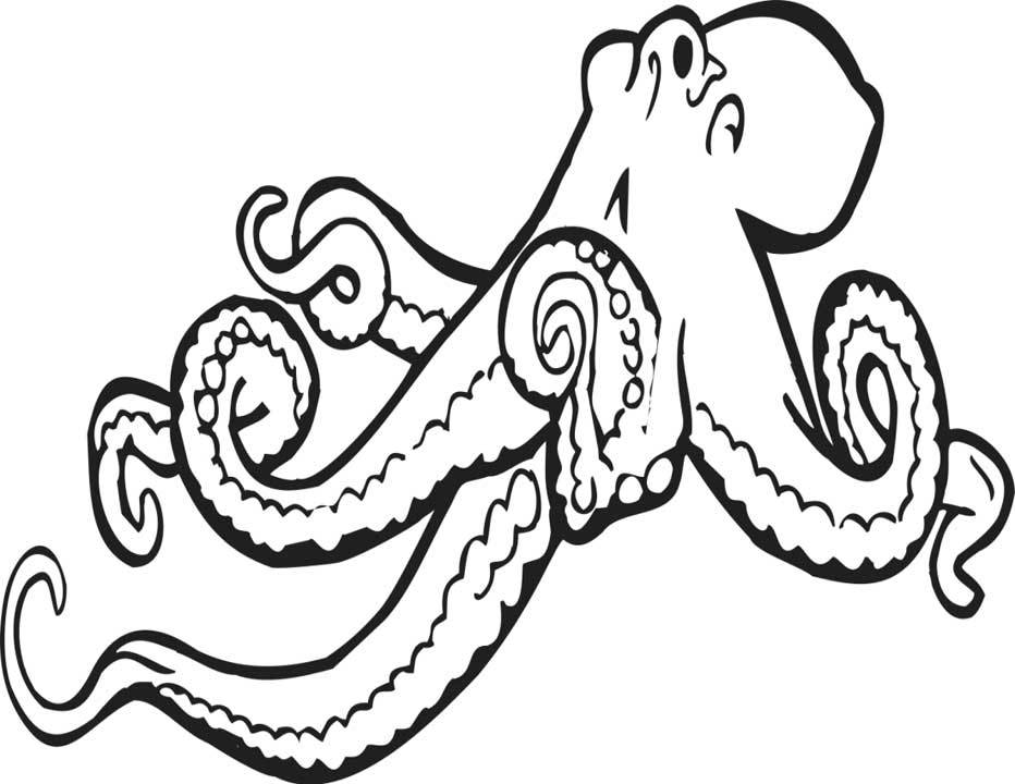 着色页: 章鱼 (动物) #18966 - 免费可打印着色页