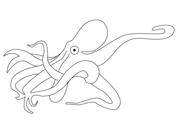 着色页: 章鱼 (动物) #18977 - 免费可打印着色页